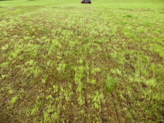 Moore Trailed 32 row Grassland UniDrill