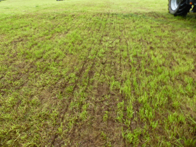 Moore Trailed 32 row Grassland UniDrill