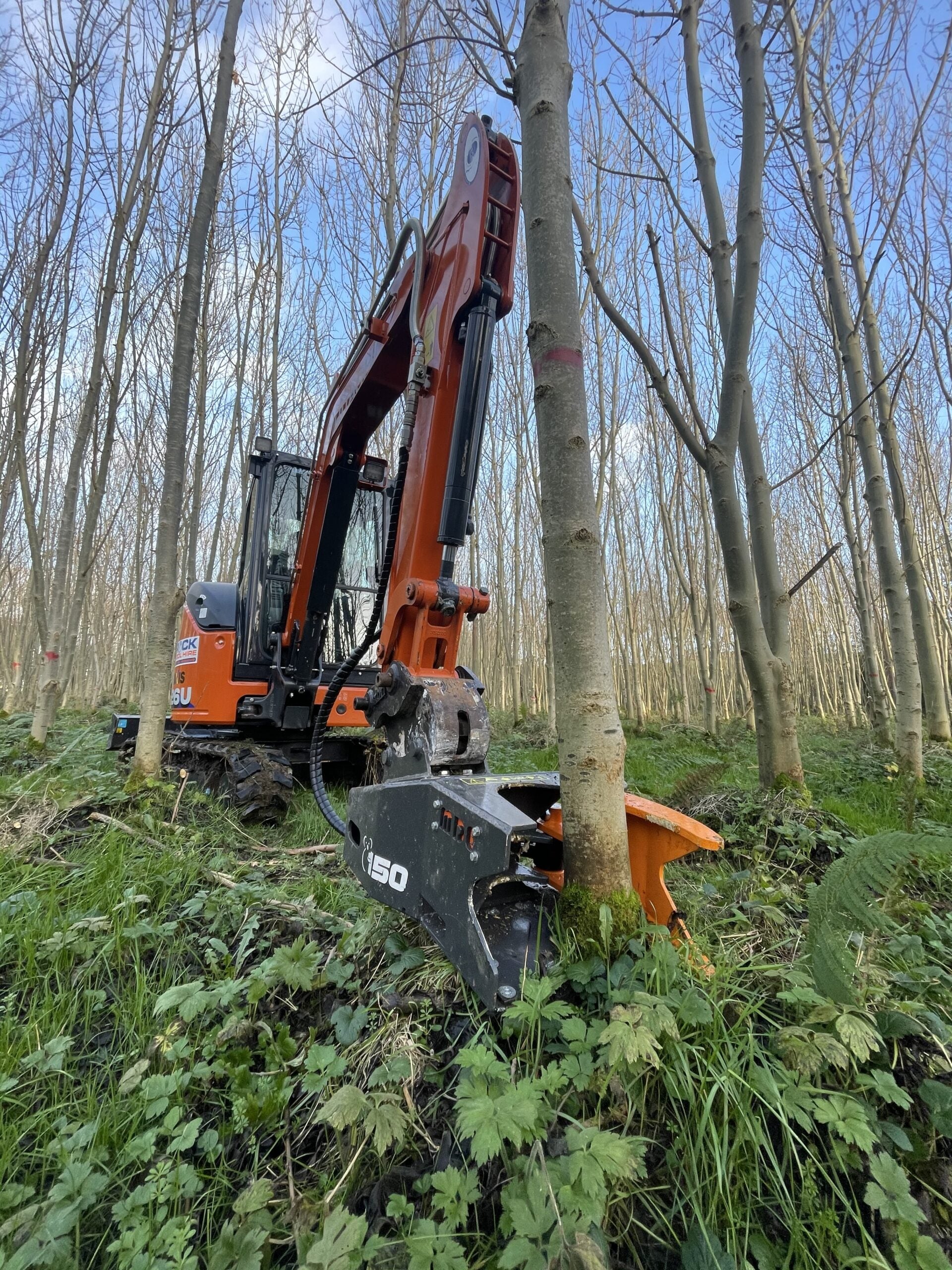 MDE Tree Shears