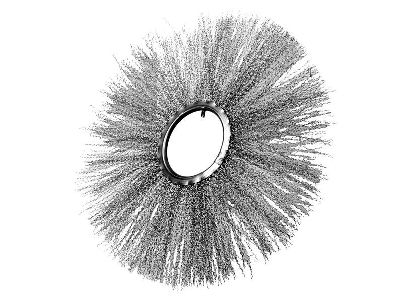 Wire Brush Section 27" x 7"