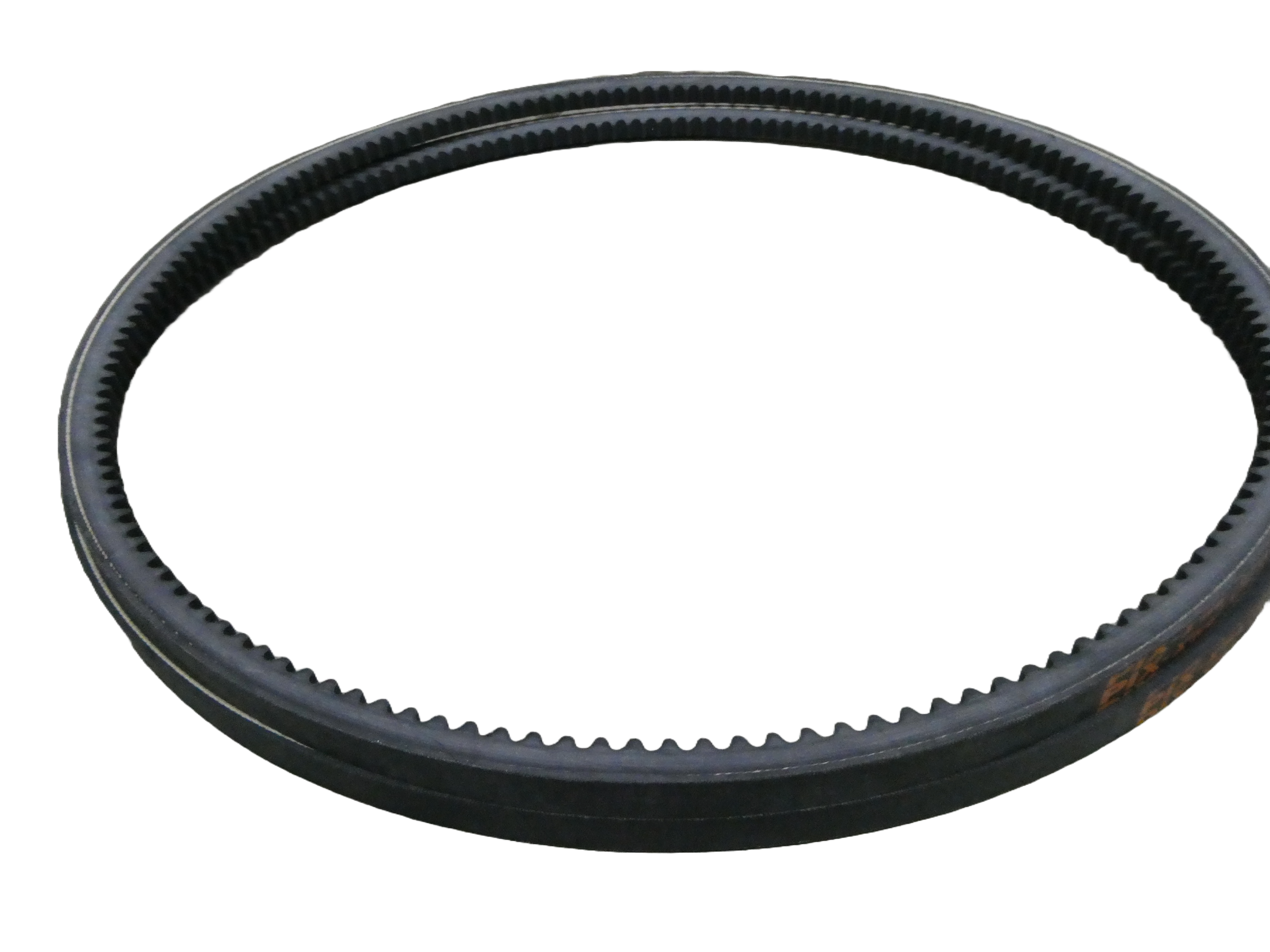 Twose Head Belt - Set of 2 - T7692