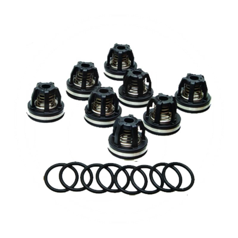 Plugaroo Valve Kit AR Pump Valve Kits