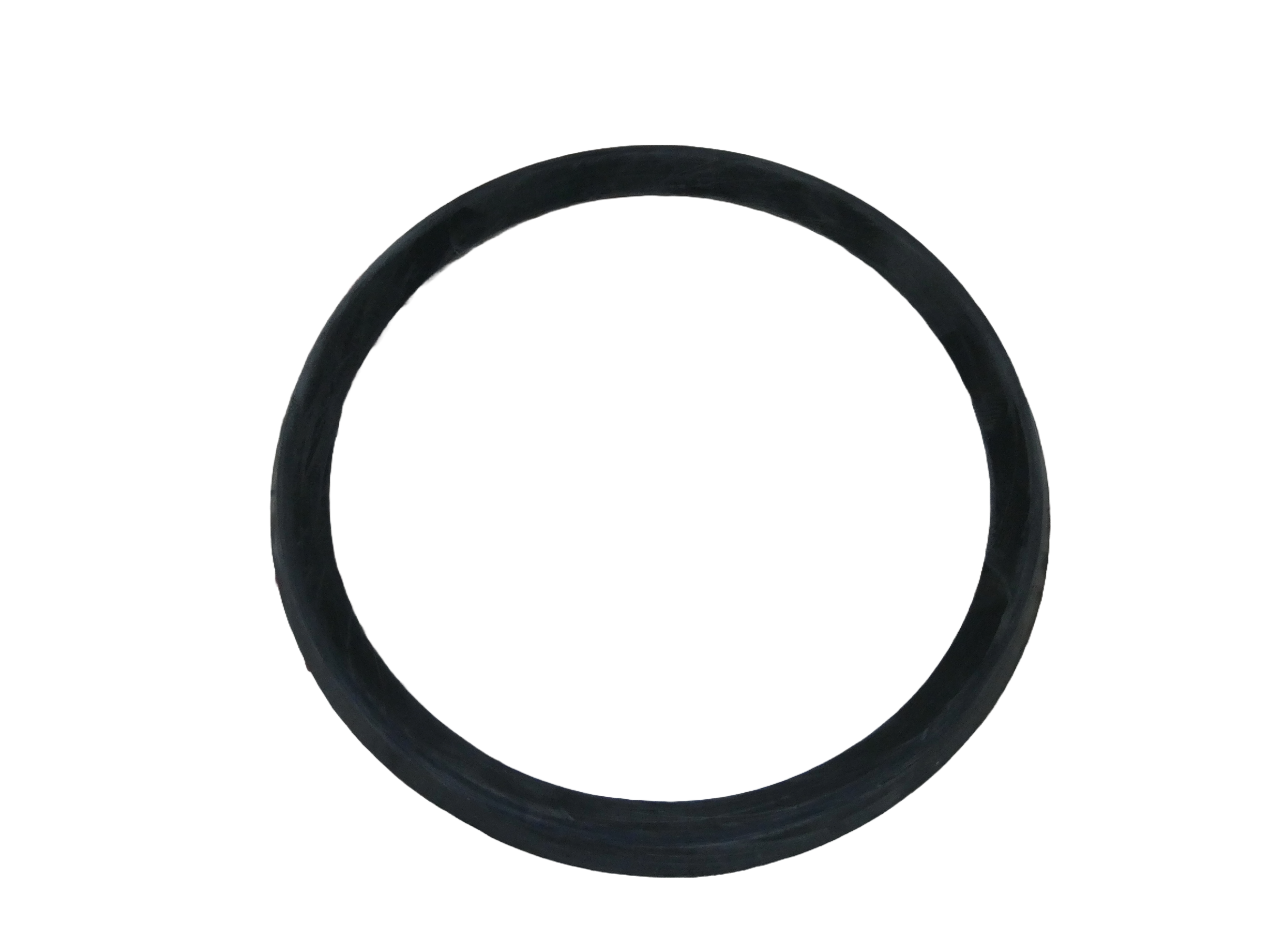 Vicon Ixter 250 / 260 Diaphragm Sealing Ring - RG00019055